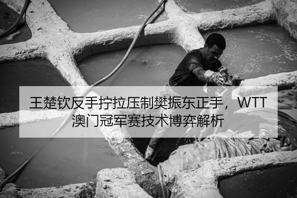 王楚钦反手拧拉压制樊振东正手，WTT澳门冠军赛技术博弈解析