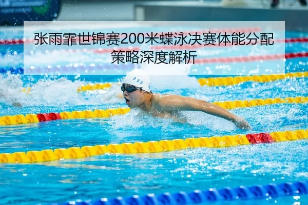 zhang-yu-fei-shi-jin-sai-mi-die-yong-jue-sai-ti-neng-fen-pei-ce-lve-shen-du-jie-xi-3-433.jpg