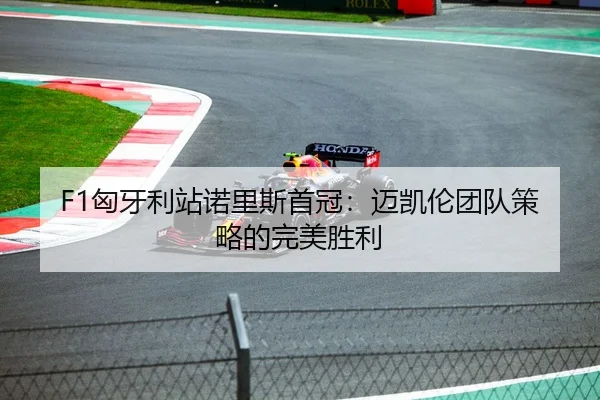 F1匈牙利站诺里斯首冠：迈凯伦团队策略的完美胜利